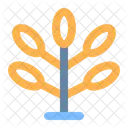 Baum  Symbol