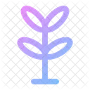 Baum  Symbol