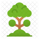 Baum  Symbol