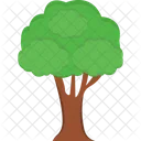 Baum  Symbol