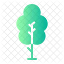 Baum  Symbol