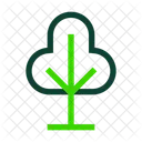 Baum  Icon