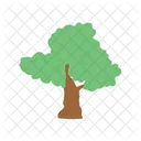 Baum  Icon