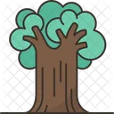 Baum  Symbol