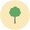 Baum  Icon