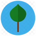 Baum  Symbol