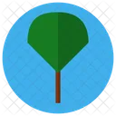 Baum  Symbol