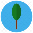 Baum  Symbol