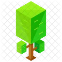 Quadratisch Baum Grun Symbol