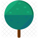 Kreis Baum Grun Grun Symbol