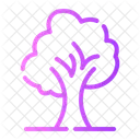 Baum Natur Pflanze Symbol