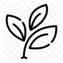 Baum  Symbol