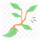 Pflanzen Baum Okologie Symbol