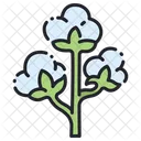 Baumwollblume  Symbol