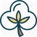 Baumwollblume  Symbol