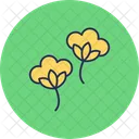 Baumwollblumen  Symbol