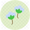 Baumwollblumen  Symbol