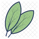 Bay Herbs Leaf Icon