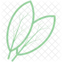 Bay Leaf  Icon