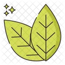 Bay Leaf Herbal Ayurvedic Icon