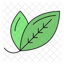 Bay leaf  Icon