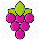 Baya Fruta Uva Icon