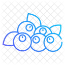 Bayas  Icono