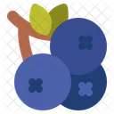 Bayas Bayas Uvas Icon