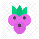 Bayas de Acai  Icono