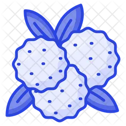 Bayberry  Icon