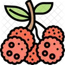 Bayberry Bayberry Fruit Fruit Icon