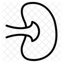 Bazo  Icono