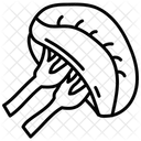 Bazo  Icono