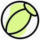 Beach Ball  Icon