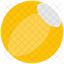 Beach Ball  Icon