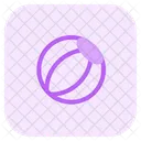 Beach Ball  Icon