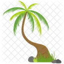 Beach palm tree  Icon