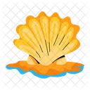 Seashell Beach Shell Pearl Shell Icon
