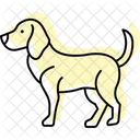 Beagle Perro Mascota Icono