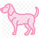 Beagle Perro Mascota Icono