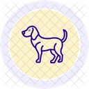 Beagle Icono