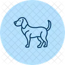 Beagle Perro Mascota Icono