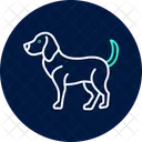 Beagle Perro Mascota Icono