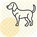 Beagle Perro Mascota Icono