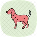 Beagle Perro Mascota Icono