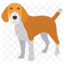 Beagle Dog Breeds Dog Species Icon