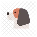 Beagle Canine Purebred Icon