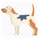 Beagle Beast Dog Icon