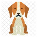Beagle  Icono