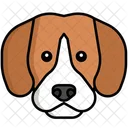 Beagle Pet Dog Dog Icon
